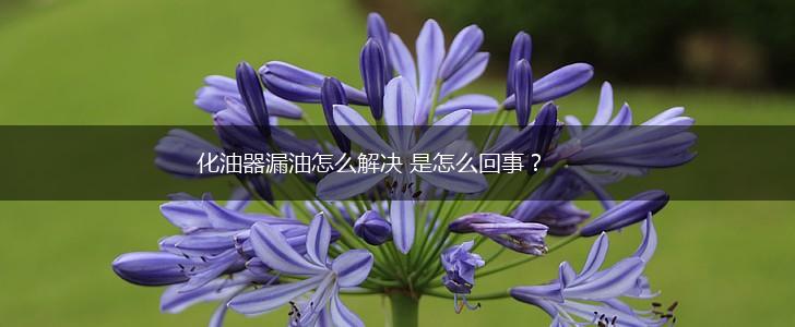 化油器漏油怎么解决 是怎么回事?,第1张 化油器漏油怎么解决 是怎么回事?,第1张