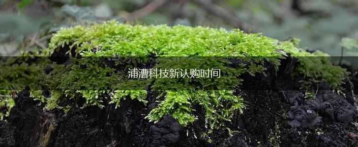 浦漕科技新认购时间,第1张