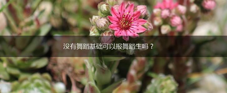 没有舞蹈基础可以报舞蹈生吗？,第1张