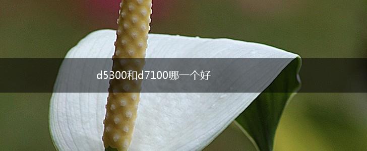 d5300和d7100哪一个好,第1张