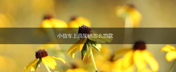 小货车上高架桥怎么罚款,第1张
