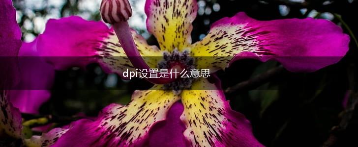 dpi设置是什么意思,第1张