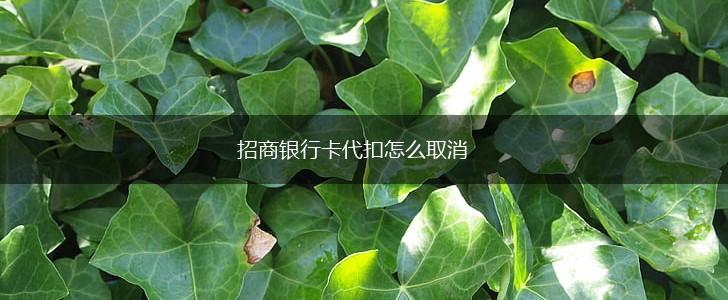 招商银行卡代扣怎么取消,第1张