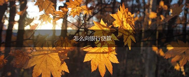 怎么向银行贷款,第1张