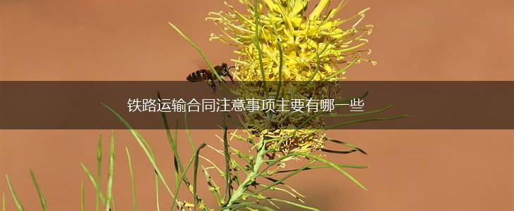 铁路运输合同注意事项主要有哪一些,第1张