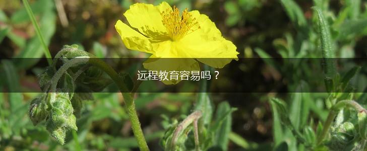 远程教育容易吗？,第1张