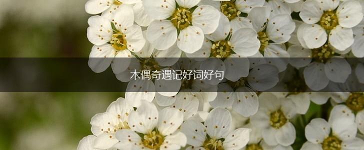 木偶奇遇记好词好句,第1张