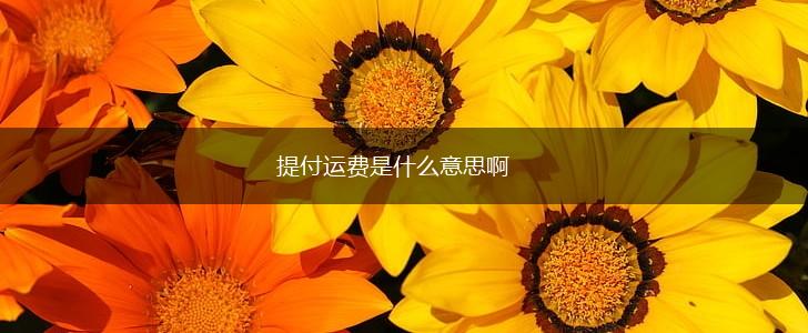 提付运费是什么意思啊,第1张
