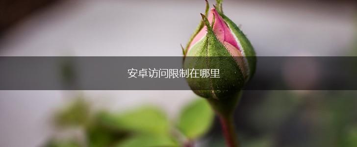 安卓访问限制在哪里,第1张