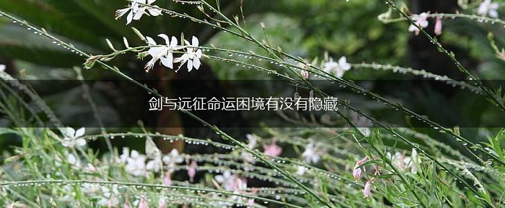 剑与远征命运困境有没有隐藏,第1张