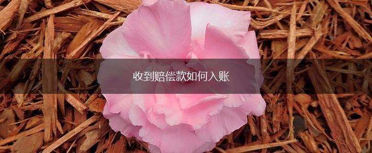 收到赔偿款如何入账,第1张