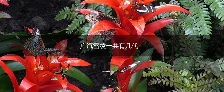 广汽雷凌一共有几代,第1张