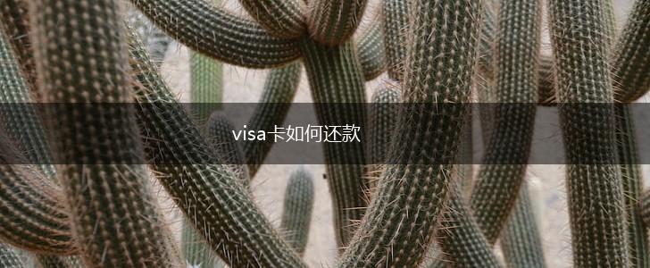 visa卡如何还款,第1张