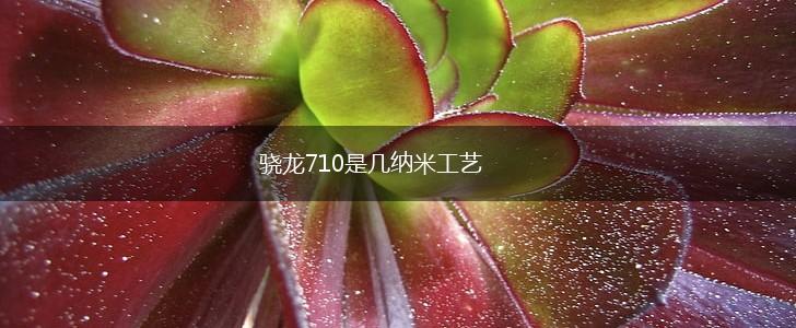 骁龙710是几纳米工艺,第1张