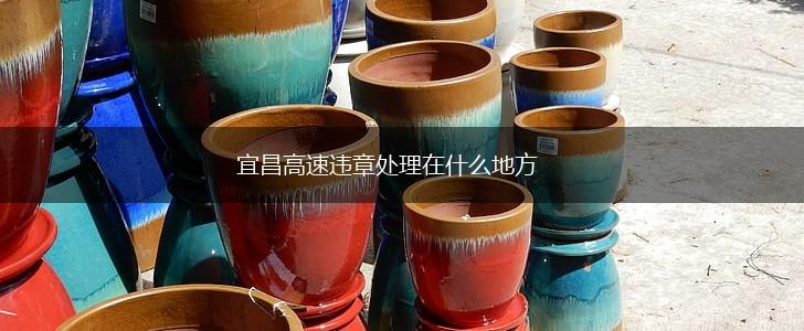 宜昌高速违章处理在什么地方,第1张