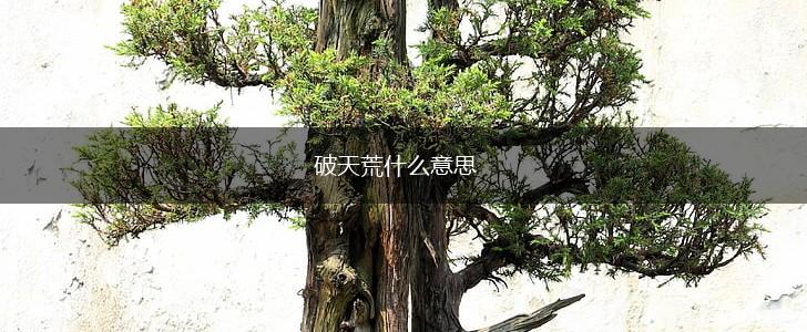 破天荒什么意思,第1张