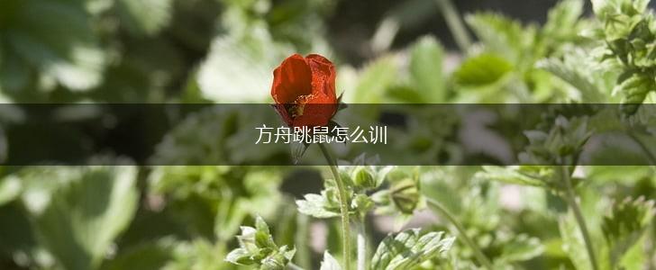 方舟跳鼠怎么训,第1张