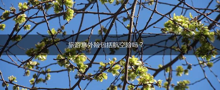 旅游意外险包括航空险吗？,第1张