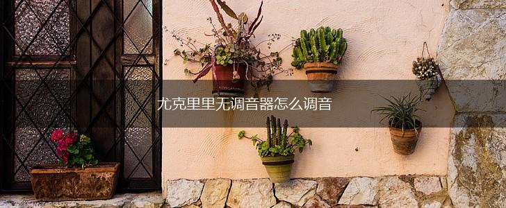尤克里里无调音器怎么调音,第1张