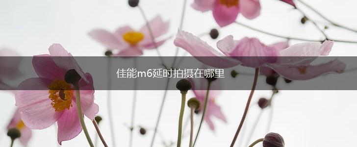 佳能m6延时拍摄在哪里,第1张
