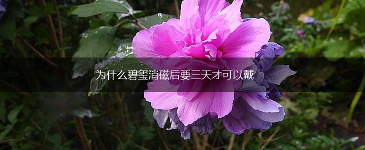 为什么碧玺消磁后要三天才可以戴,第1张