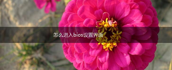 怎么进入bios设置界面,第1张