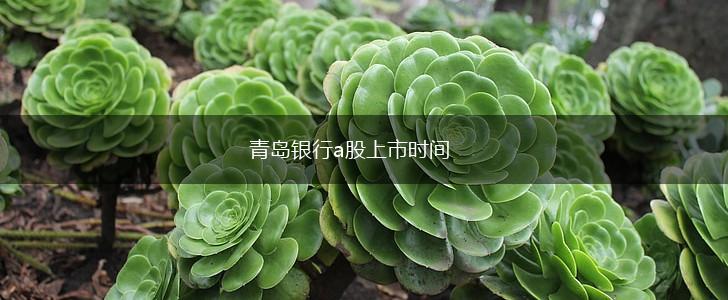 青岛银行a股上市时间,第1张
