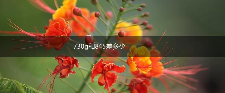 730g和845差多少,第1张