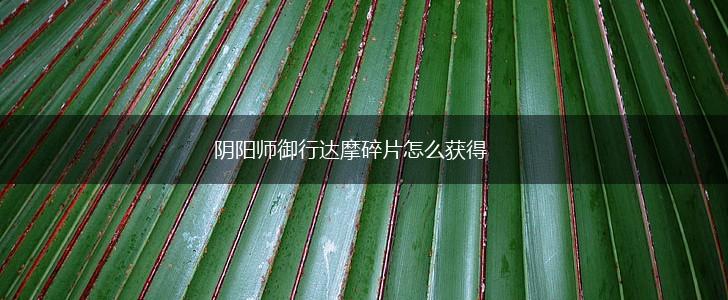 阴阳师御行达摩碎片怎么获得,第1张