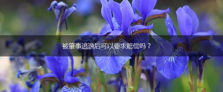 被肇事逃逸后可以要求赔偿吗？,第1张