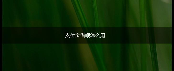 支付宝借呗怎么用,第1张
