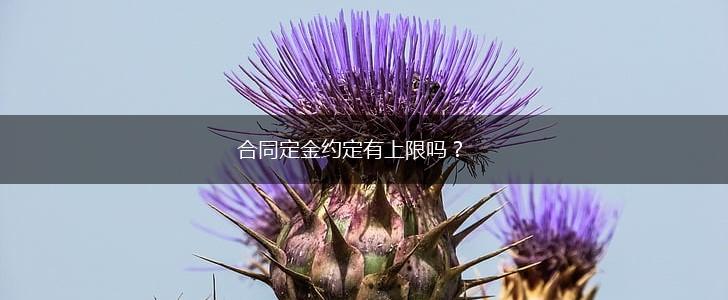 合同定金约定有上限吗？,第1张