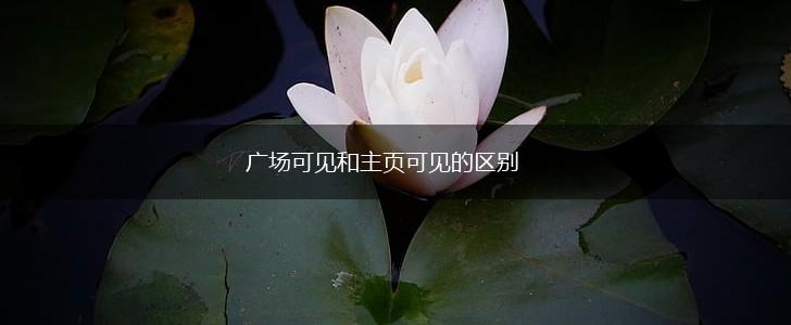 广场可见和主页可见的区别,第1张