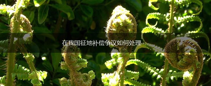 在我国征地补偿争议如何处理,第1张
