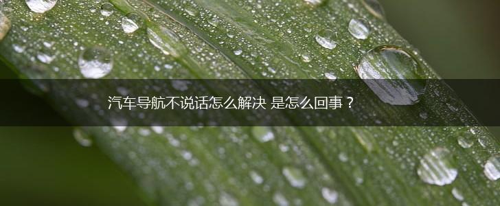 汽车导航不说话怎么解决 是怎么回事？,第1张