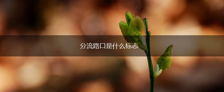 分流路口是什么标志,第1张