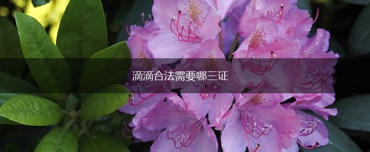 滴滴合法需要哪三证,第1张