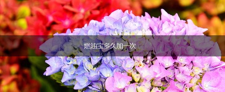 燃油宝多久加一次,第1张
