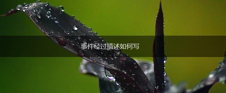 事件经过描述如何写,第1张