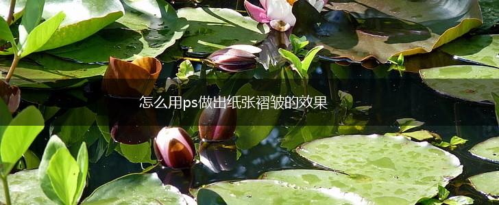 怎么用ps做出纸张褶皱的效果,第1张