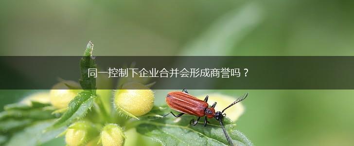 同一控制下企业合并会形成商誉吗?,第1张 同一控制下企业合并会形成商誉吗?,第1张