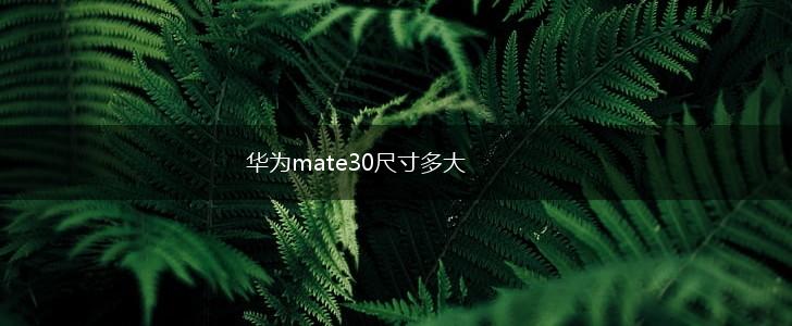 华为mate30尺寸多大,第1张