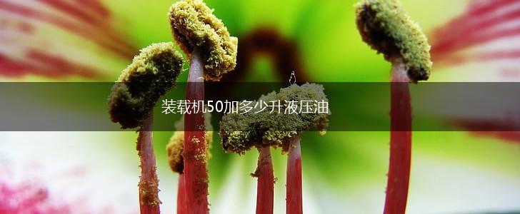 装载机50加多少升液压油,第1张