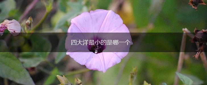 四大洋最小的是哪一个,第1张