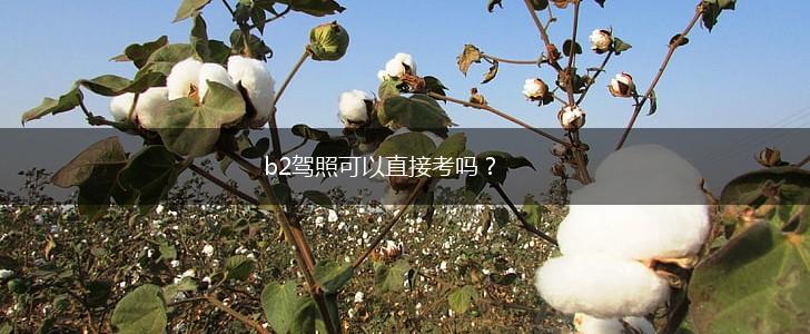 b2驾照可以直接考吗？,第1张