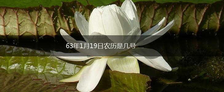 63年1月19日农历是几号,第1张