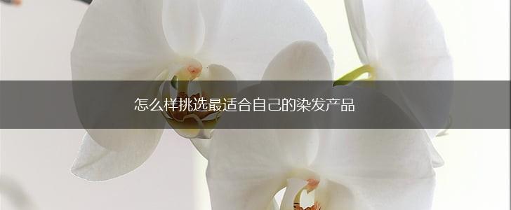 怎么样挑选最适合自己的染发产品,第1张