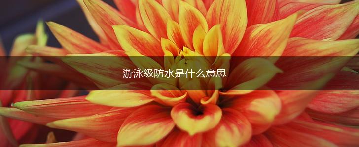 游泳级防水是什么意思,第1张