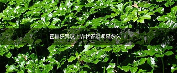 管辖权异议上诉状答辩期是多久,第1张