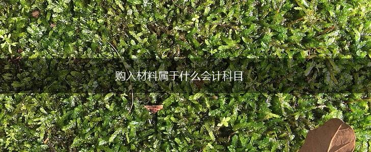购入材料属于什么会计科目,第1张